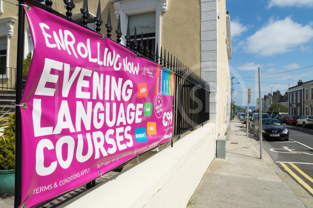 Active Language Learning