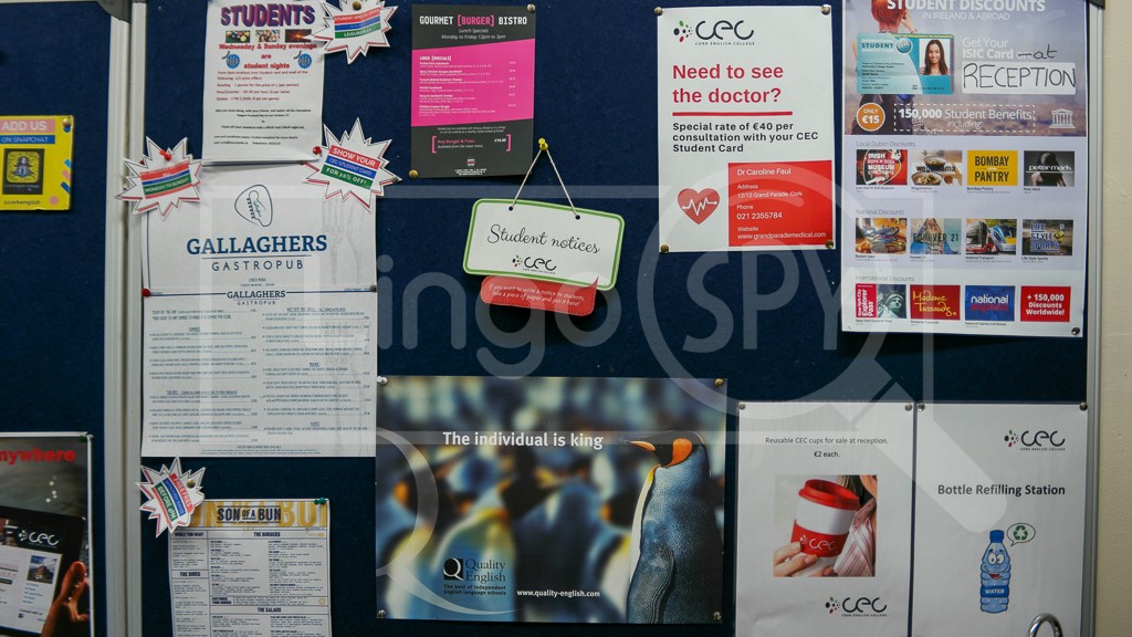 CEC (Cork English College)